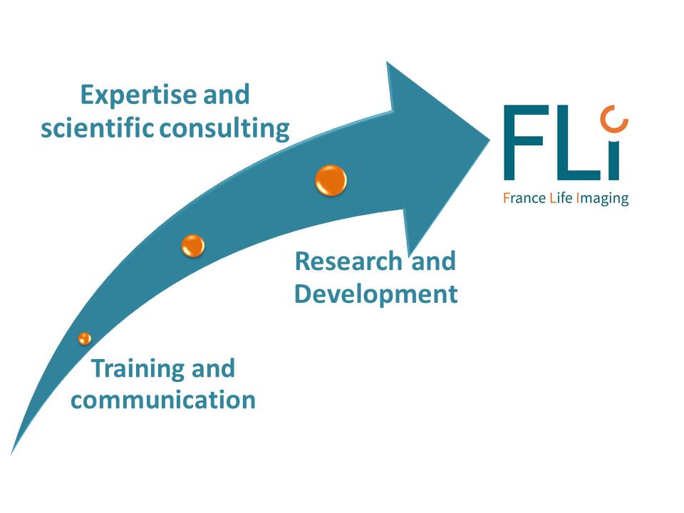 qualite_activites_en