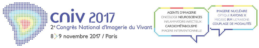banner_cniv_2017